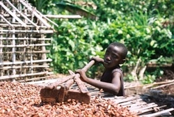 Eat Fair Trade Chocolate